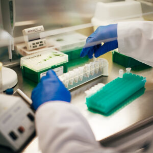 Basic Metabolic Panel (Fasting required)